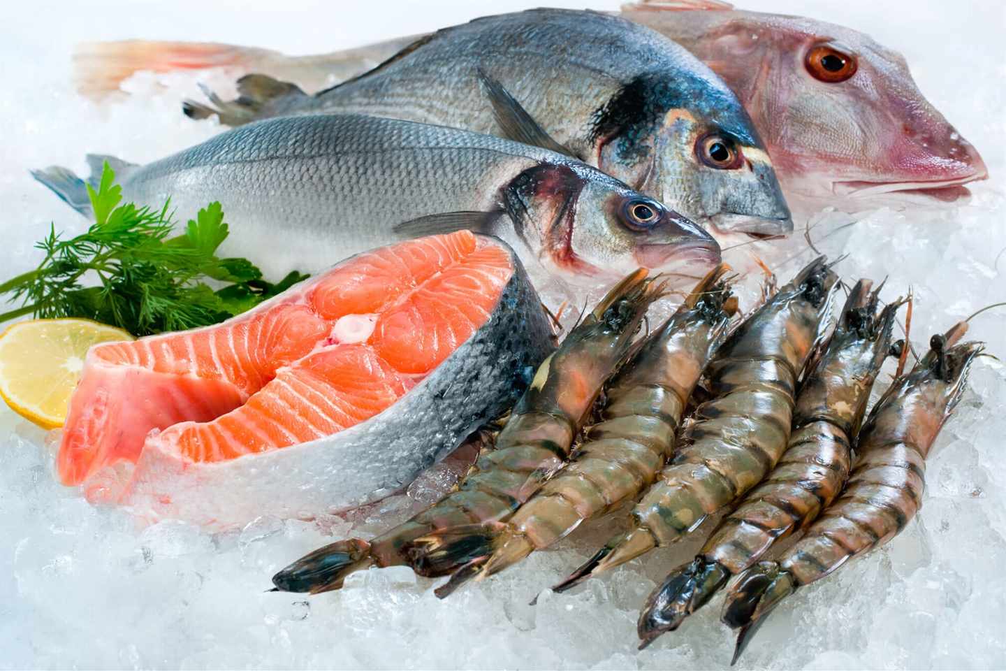 pescado congelado listo para distribución